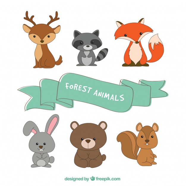 626x626 Collection Of Six Forest Animals Vector Free Download