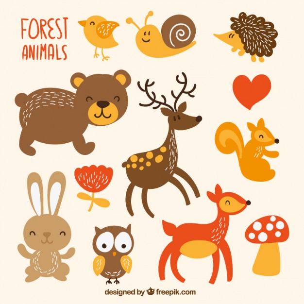 626x626 Cute Forest Animals Vector Free Download