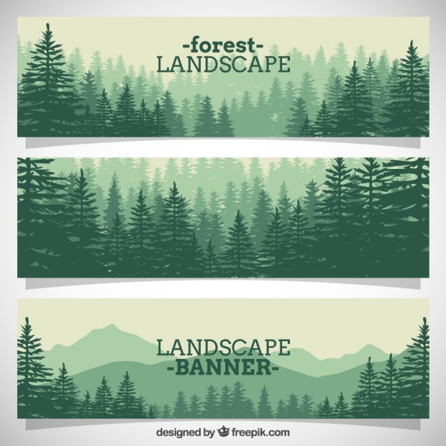626x626 Forest Vectors, Photos And Free Download