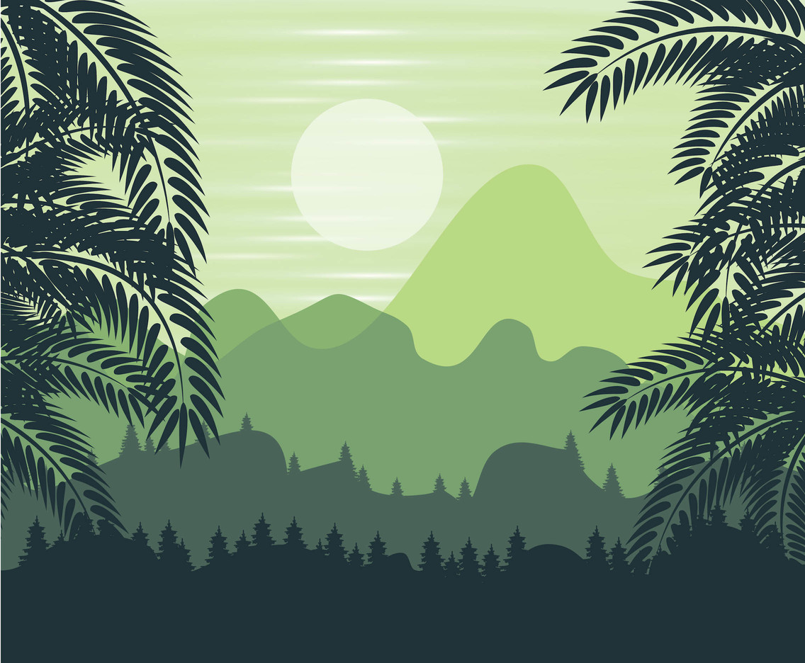 1136x936 Jungle Forest Background Vector Vector Art Graphics