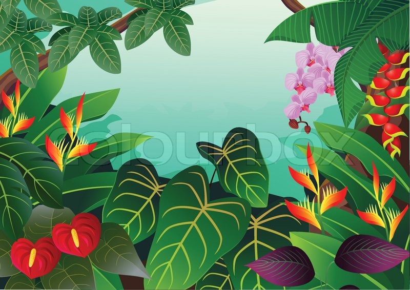 800x566 Tropical Forest Background Stock Vector Colourbox