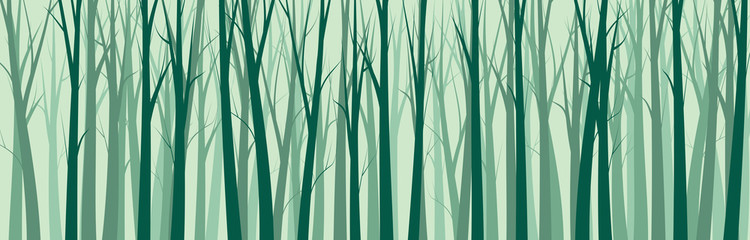 750x240 Wide Forest Background