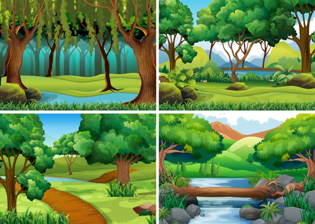 626x446 Forest Vectors, Photos And Free Download