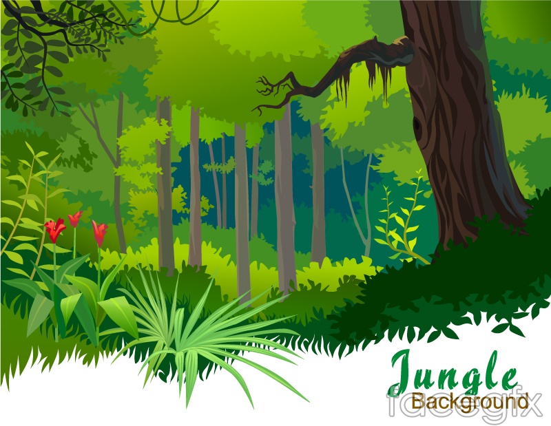 800x619 Tropical Forest Cartoon Vector Over Millions Vectors, Stock