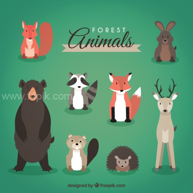 626x626 Vector Forest Animals Head On Pack Free Download