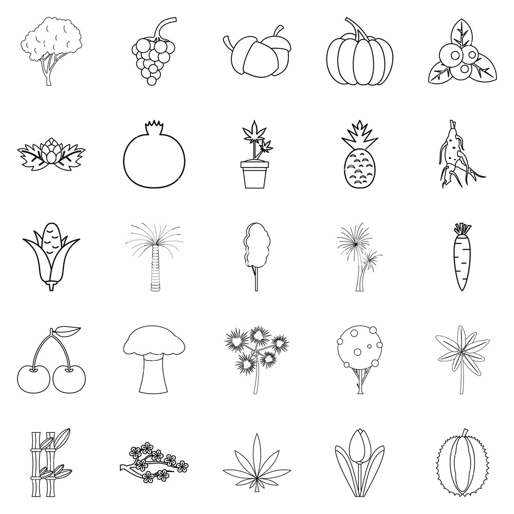Forest Plants Icons Set Outline Set Of Forest Plants Vector 1000x1000 Forest Plants Icons Set Outline Set Of Forest Plants Vector