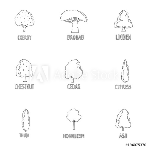Forest Regulation Icons Set Outline Set Of Forest Regulation 500x500 Forest Regulation Icons Set Outline Set Of Forest Regulation