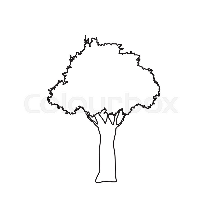Tree Forest Nature Branch Outline Stock Vector Colourbox 800x800 Tree Forest Nature Branch Outline Stock Vector Colourbox