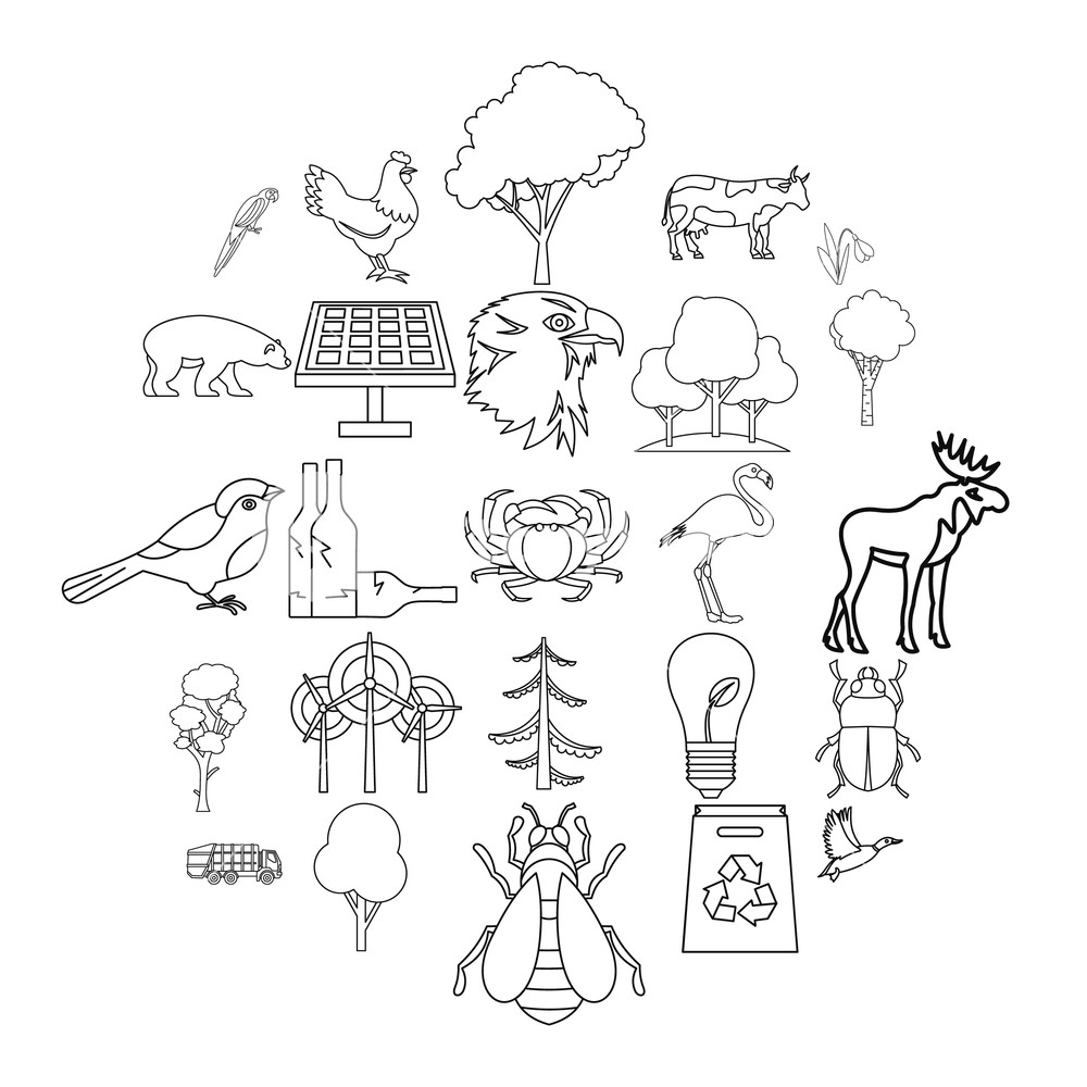 Forest Icons Set Outline Set Of Forest Vector Icons For Web 1000x1000 Forest Icons Set Outline Set Of Forest Vector Icons For Web