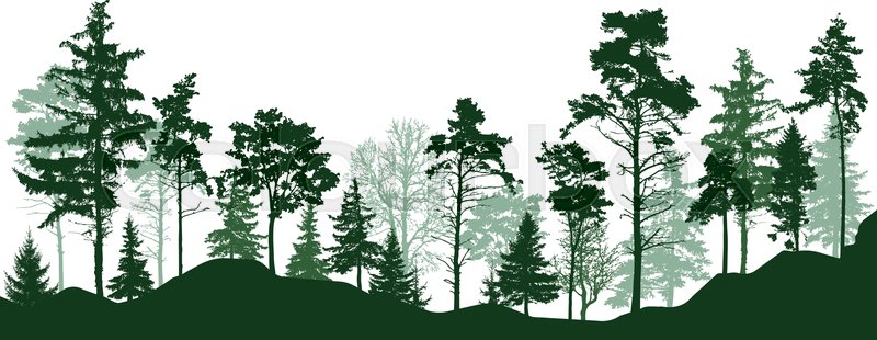 800x310 Forest Silhouette Green Trees Stock Vector Colourbox