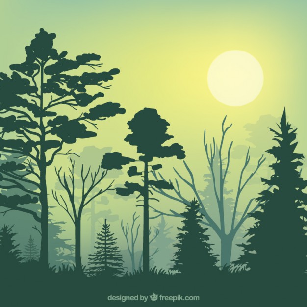 626x626 Green Forest Silhouettes Vector Free Download