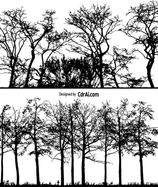 550x650 Vector Forest Silhouettes Trees Free Vector Download