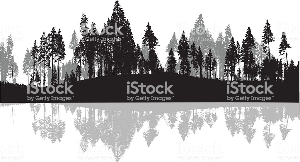 1024x553 Collection Of 'pine Tree Forest Silhouette' Download More Than