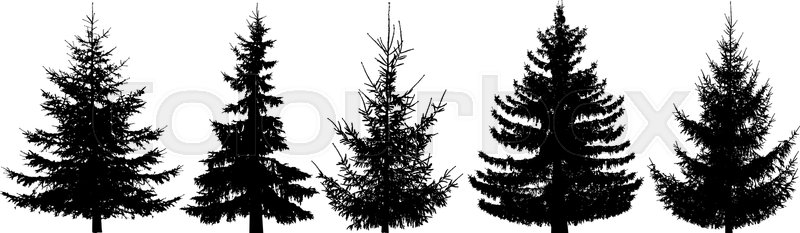 Forest Trees Set Isolated Vector Stock Vector Colourbox 800x233 Forest Trees Set Isolated Vector Stock Vector Colourbox