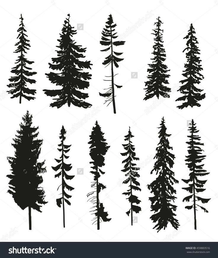 Like Tree Silhouette Tattoo, Forest Tattoos 736x872 Like Tree Silhouette Tattoo, Forest Tattoos