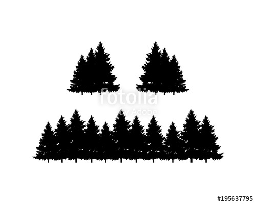 Black Pine Tree Forest Symbol Silhouette Logo Vector Stock Image 500x400 Black Pine Tree Forest Symbol Silhouette Logo Vector Stock Image