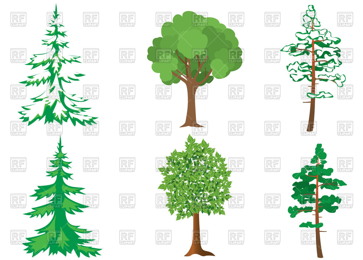 Set Of Forest Trees Vector Image Of Plants And Animals Pavalena 1200x859 Set Of Forest Trees Vector Image Of Plants And Animals Pavalena