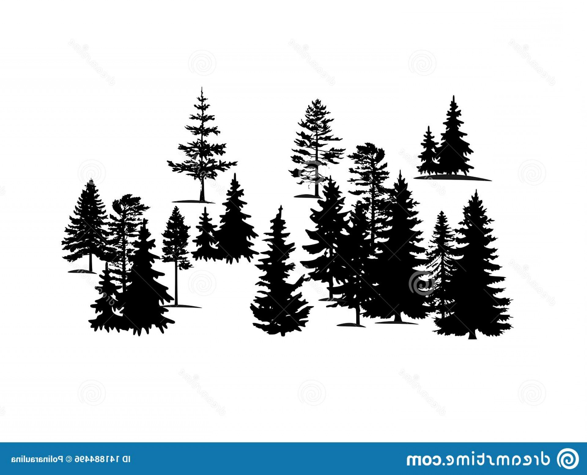 Trees Vector Silhouttess Lamaison 1920x1552 Trees Vector Silhouttess Lamaison