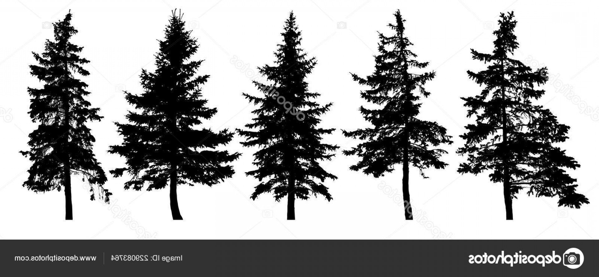 Vector Pine Tree Forest Hoodamath 1920x888 Vector Pine Tree Forest Hoodamath