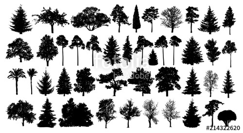 Forest Tree Vector at Vectorified.com | Collection of Forest Tree ...