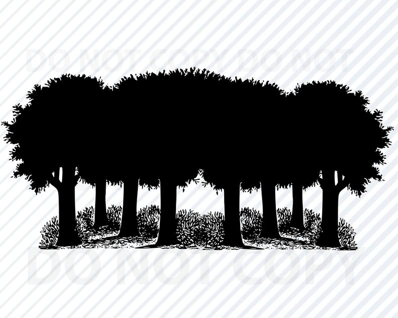 Forest For Cricut Trees Vector Images Oak Tree Etsy 794x635 Forest For Cricut Trees Vector Images Oak Tree Etsy