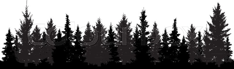 Forest Of Christmas Fir Trees Stock Vector Colourbox 800x236 Forest Of Christmas Fir Trees Stock Vector Colourbox