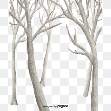 Free Download The Depths Of Winter Forest Trees Silhouette Png 360x360 Free Download The Depths Of Winter Forest Trees Silhouette Png