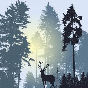 Landscape With Silhouette Of Forest Trees And Deer Vector Newwaysys 300x300 Landscape With Silhouette Of Forest Trees And Deer Vector Newwaysys