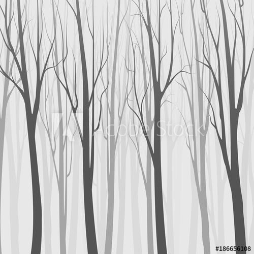 Background With Forest, Trees Silhouette Vector Illustration 500x500 Background With Forest, Trees Silhouette Vector Illustration