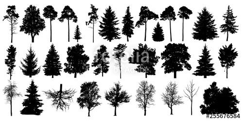 Forest Trees Silhouette Vector At Vectorified Com Collection Of