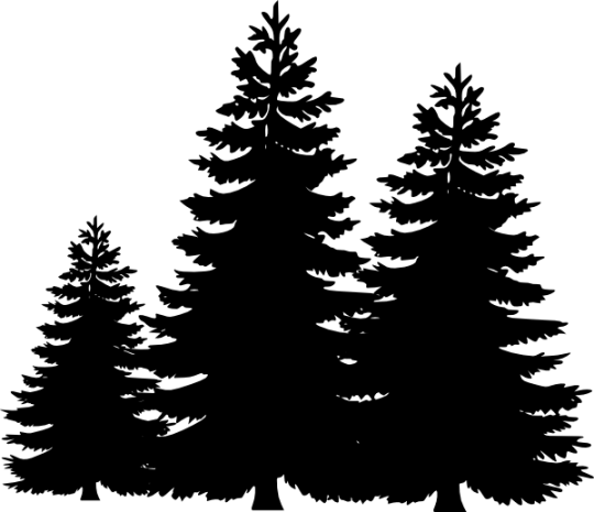 Download Forest Trees Silhouette Vector at Vectorified.com ...