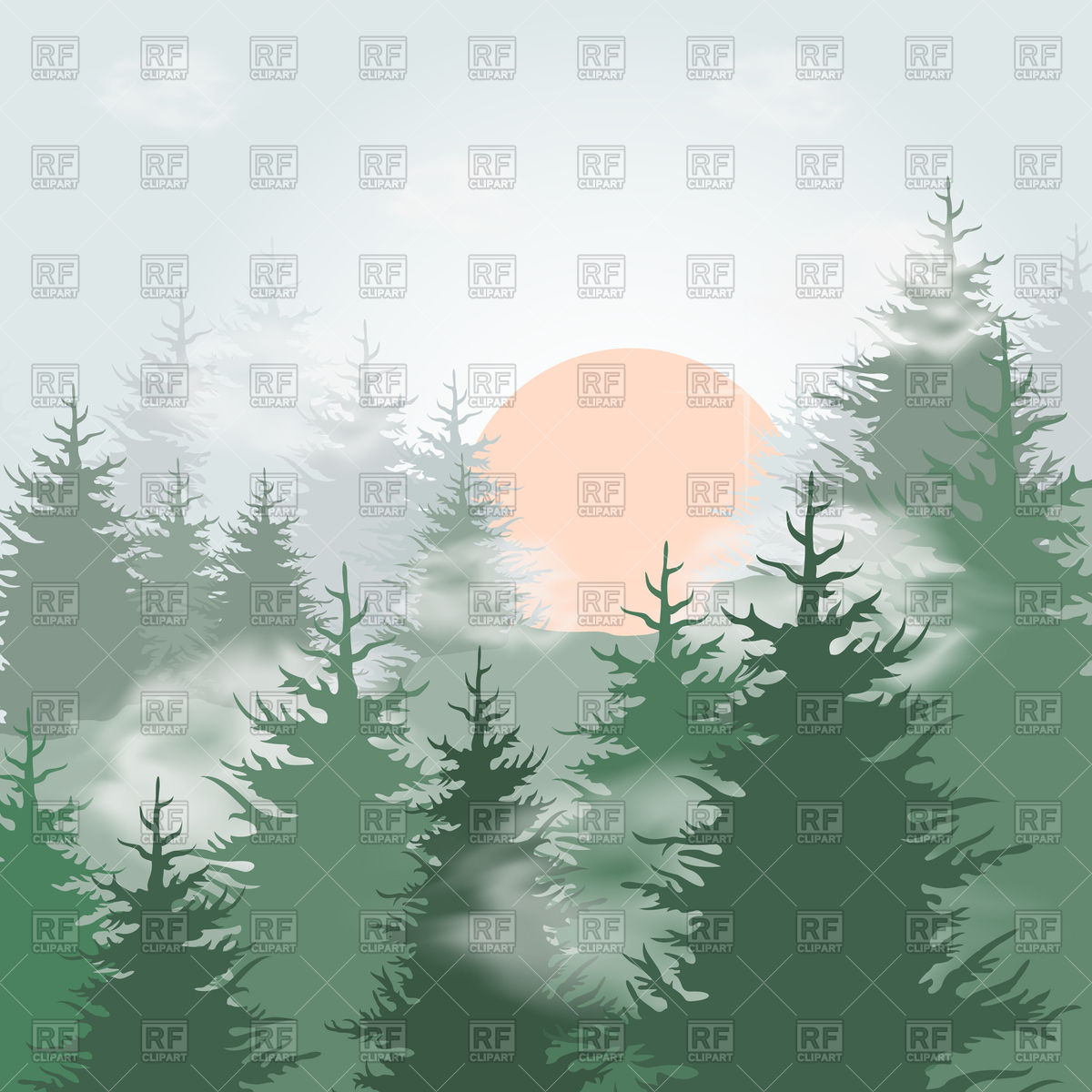 1200x1200 Fog In Pine Forest Vector Image Of Nature, Landscape