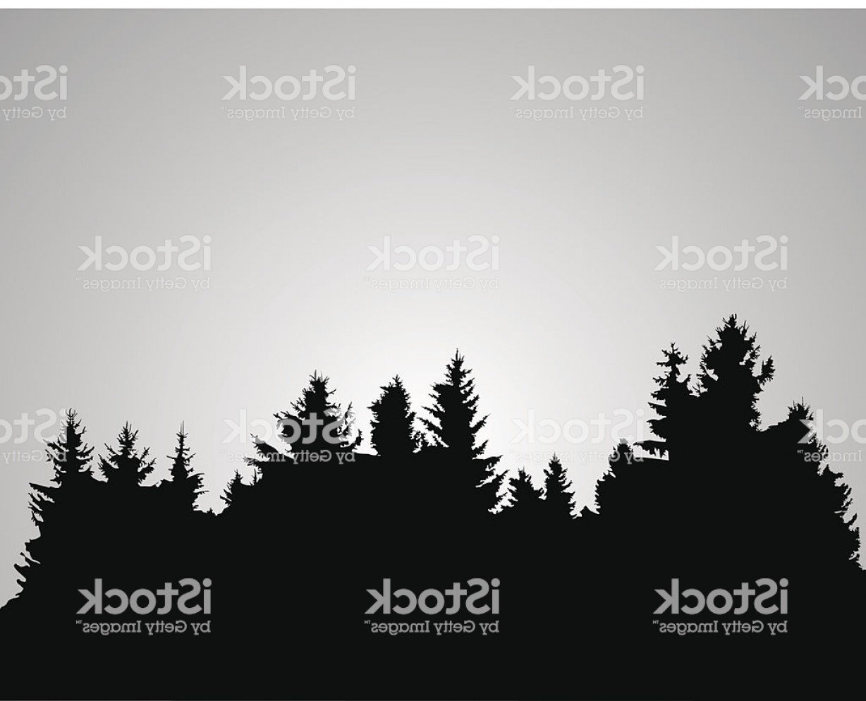 1228x994 Forest Vector Art Silhouettes Soidergi