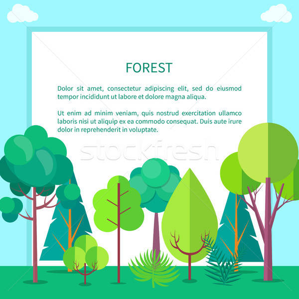 600x600 Forest Vector Web Banner With Trees And Bushes Vector Illustration