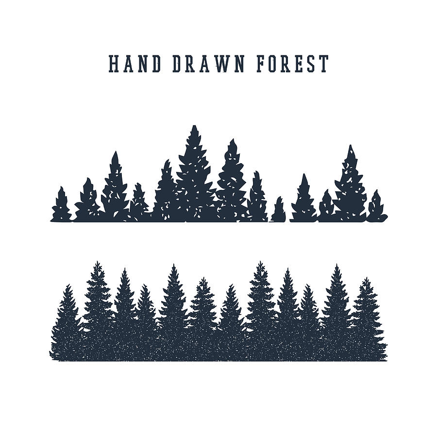 900x900 Hand Drawn Pine Forest Vector Illustration