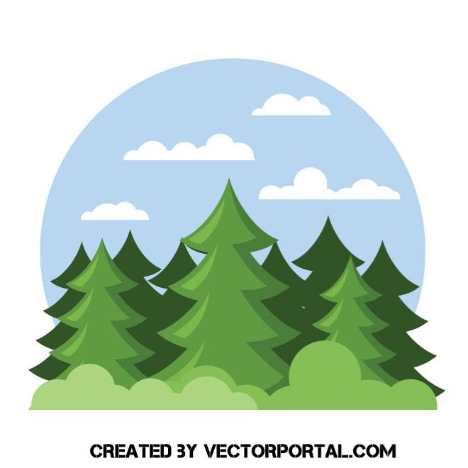 660x660 Spruce Fir Forest Vector Image