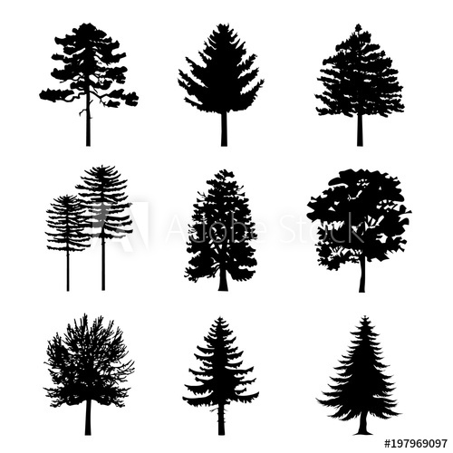 Forest Vector at Vectorified.com | Collection of Forest Vector free for ...