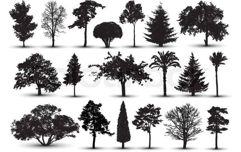 800x504 Tree Silhouette, Forest Vector Nature Stock Vector Colourbox