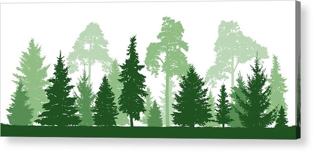 631x306 Trees Pine, Fir, Spruce, Christmas Tree Coniferous Forest, Vector