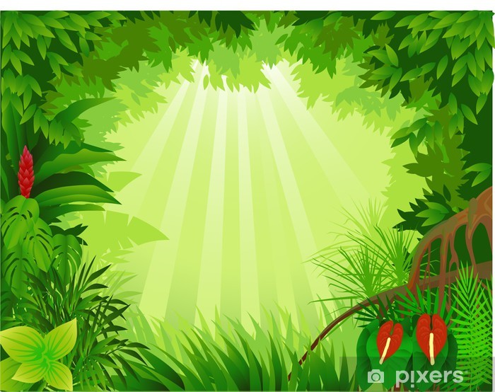 700x554 Beautiful Tropical Forest Vector Illustration Wall Mural Pixers