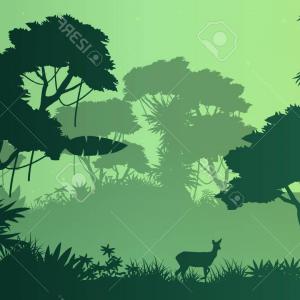 300x300 Stock Photo Forest Vector Background Landscape With Silhouettes