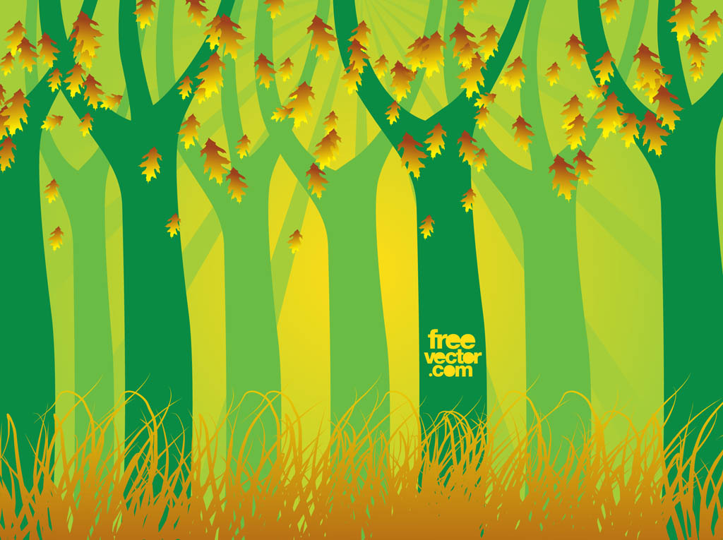 1024x765 Autumn Forest Vector Vector Art Graphics