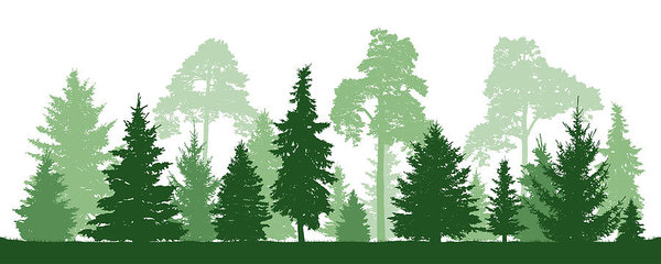 600x240 Trees Pine, Fir, Spruce, Christmas Tree Coniferous Forest, Vector