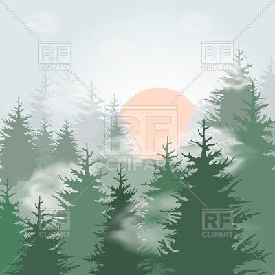 400x400 Fog In Pine Forest Vector Image Of Nature, Landscape