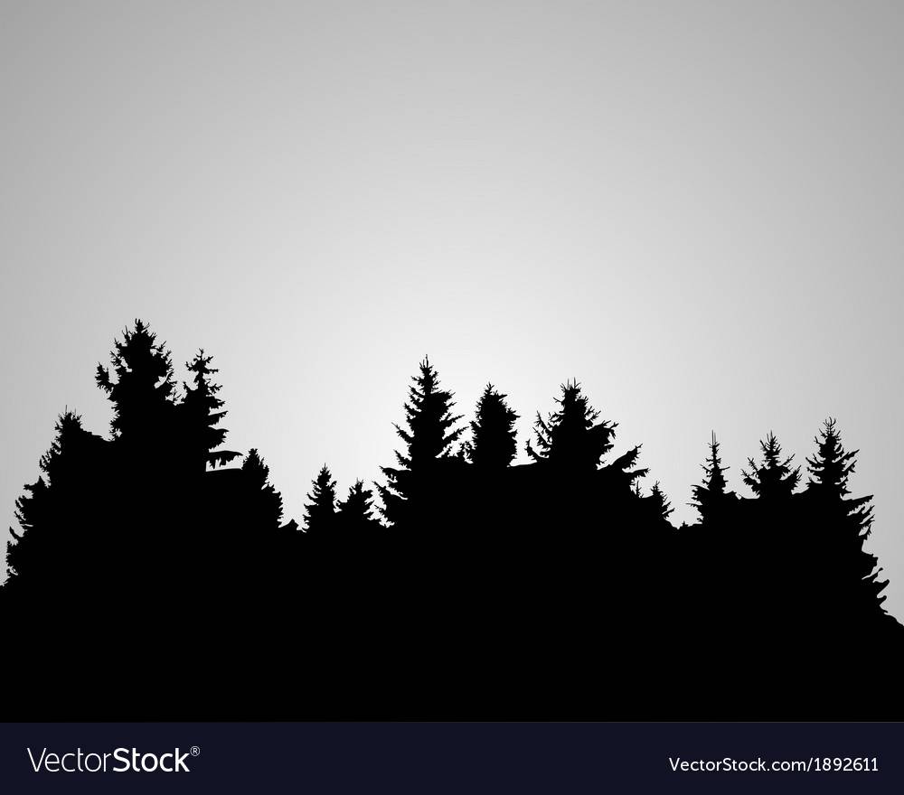 1000x880 Elegant Ideas For Landscape Forest Vector Free Landscape