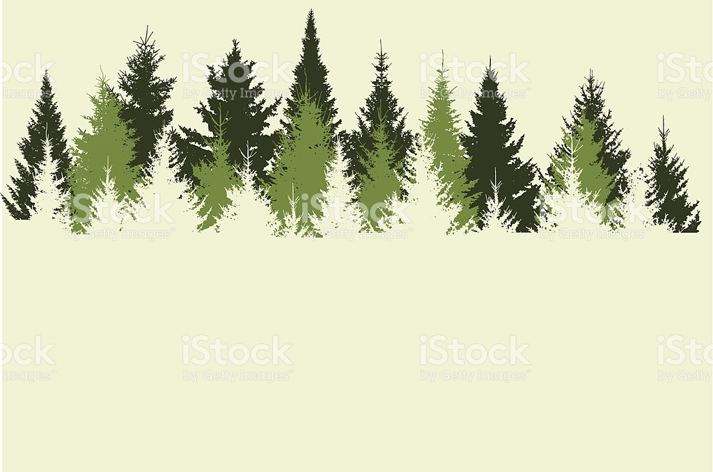 1024x679 Evergreen Forest Clipart