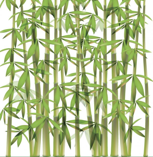 600x616 Green Bamboo Forest Vector Illustration