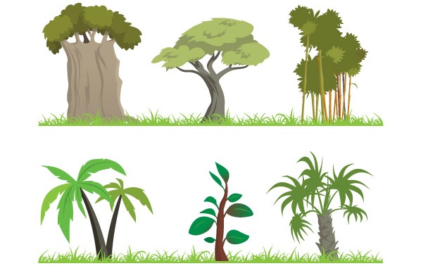 598x378 Jungle Tree And Forest Vector