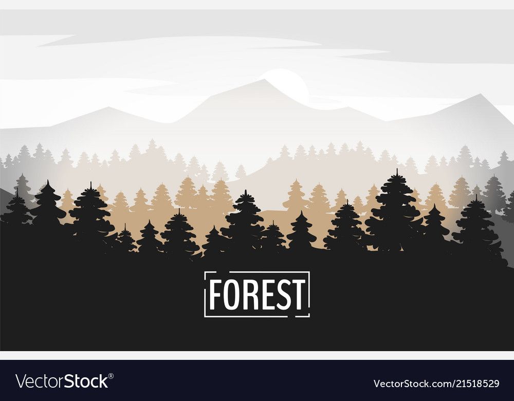 1000x780 Evergreen Mountain Background