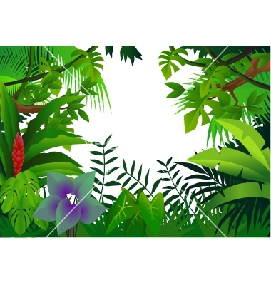 380x400 Tropical Rain Forest Vector